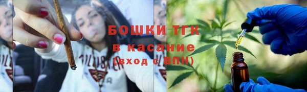индика Армянск