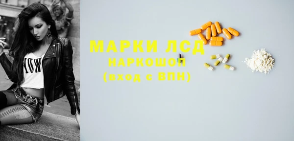 индика Армянск