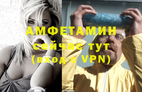 индика Ростов