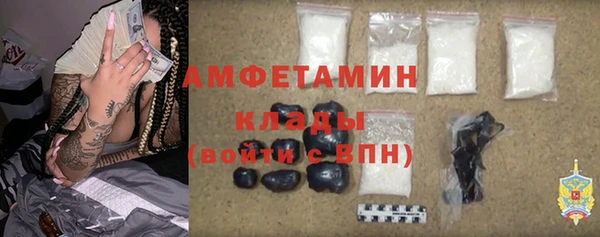 индика Ростов