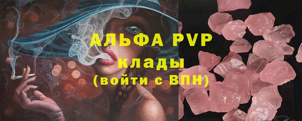 индика Армянск