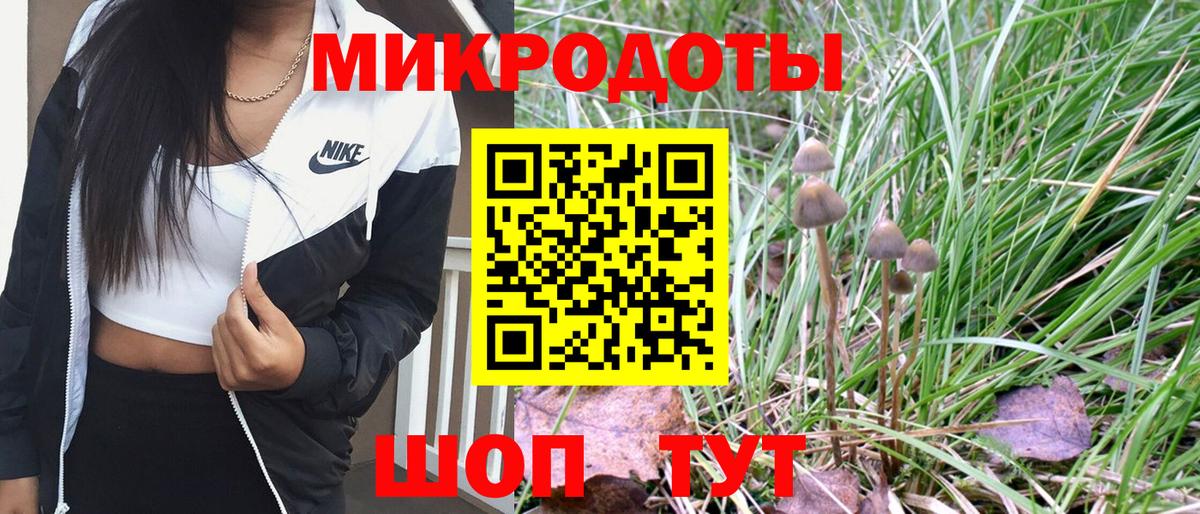 Галлюциногенные грибы MAGIC MUSHROOMS Апрелевка