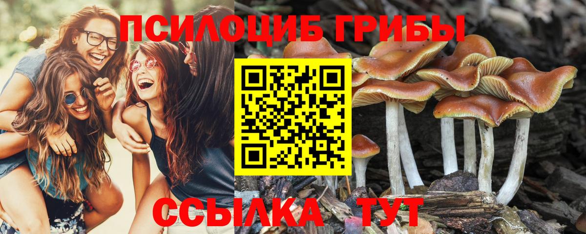 Галлюциногенные грибы MAGIC MUSHROOMS Апрелевка