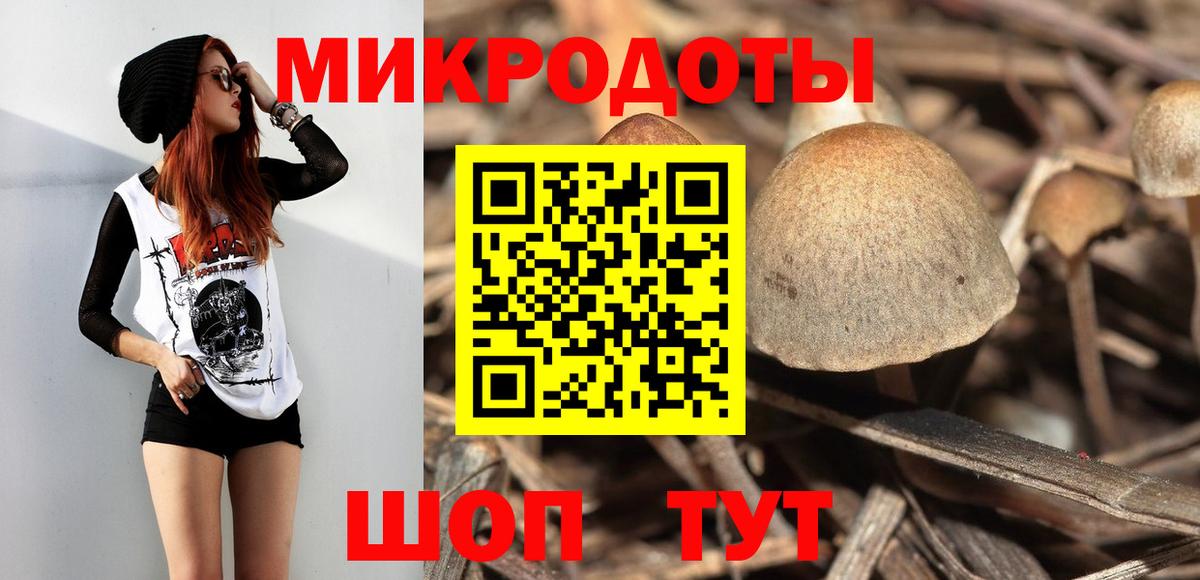 Псилоцибиновые грибы мицелий  Апрелевка 